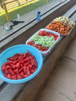 Soustředění mládeže